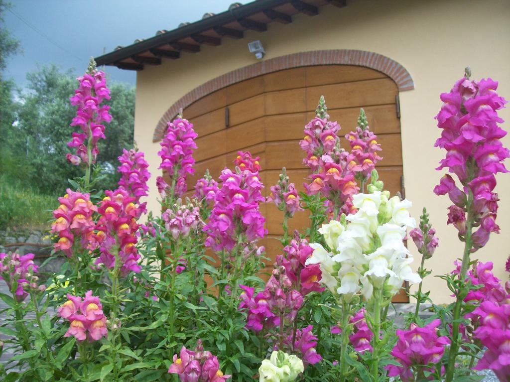 La Casa Dei Limoni Apartment Matraia Екстериор снимка