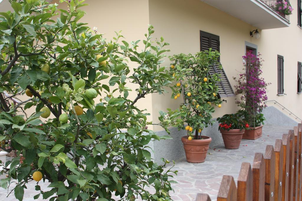 La Casa Dei Limoni Apartment Matraia Екстериор снимка