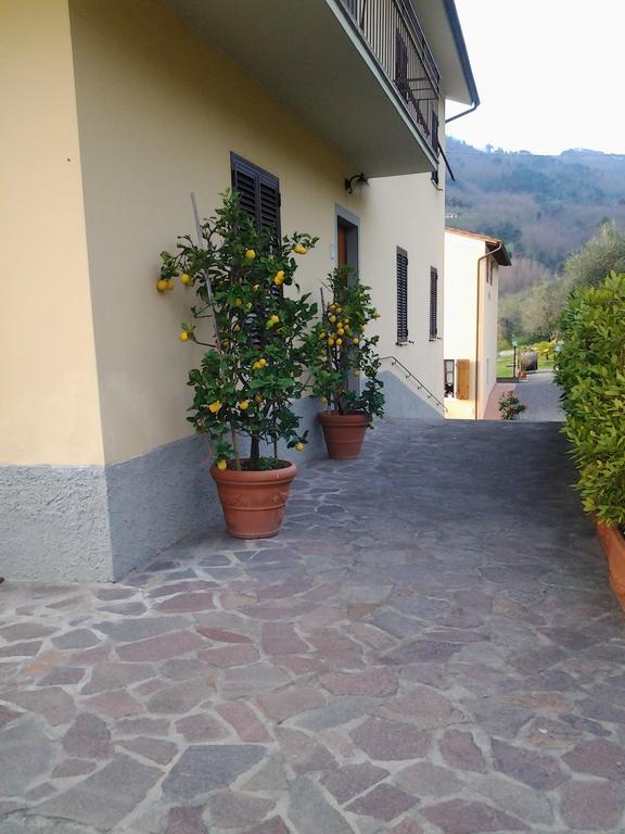 La Casa Dei Limoni Apartment Matraia Екстериор снимка